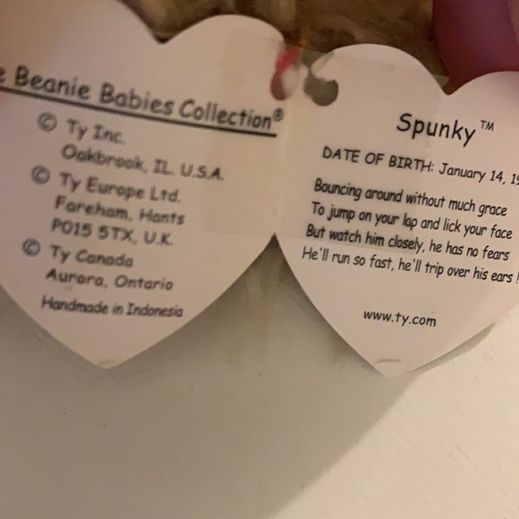 TY Beanie Baby Spunky the Cocker Spaniel‌‌‌‌‌‌‌‌‌‌‌‌‌‌‌‌‌‌‌‌‌‌‌‌‌‌‌‌‌‌‌…‌‌‌‌‌‌‍ - Picture 7 of 8